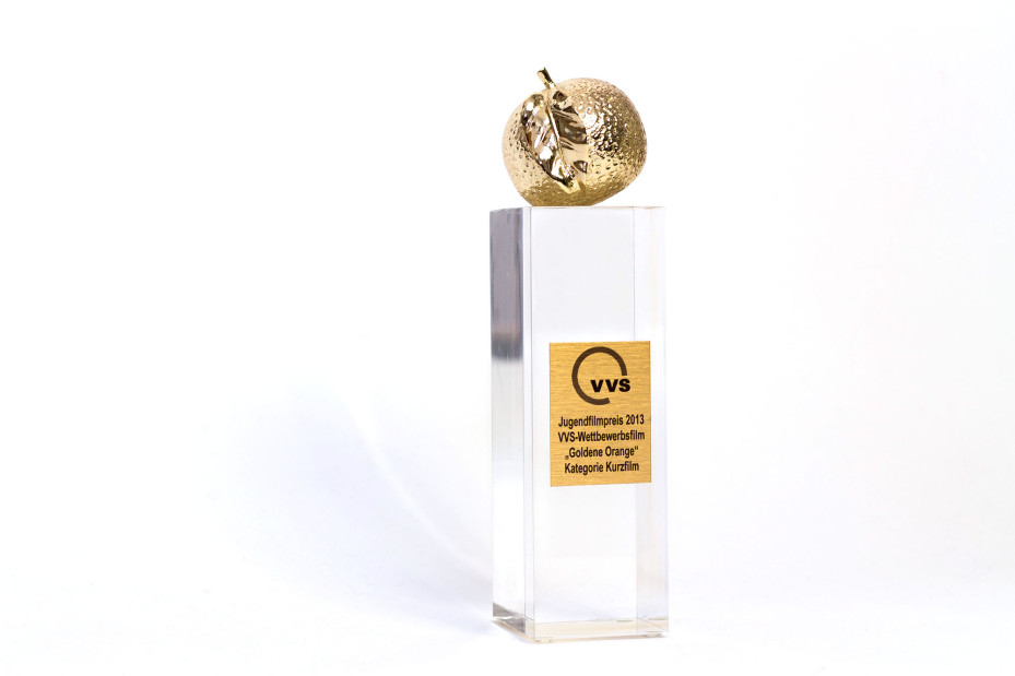 Jugendfilmpreis 2013: VVS-Wettbewerb "Goldene Orange" - Kategorie Kurzfilm